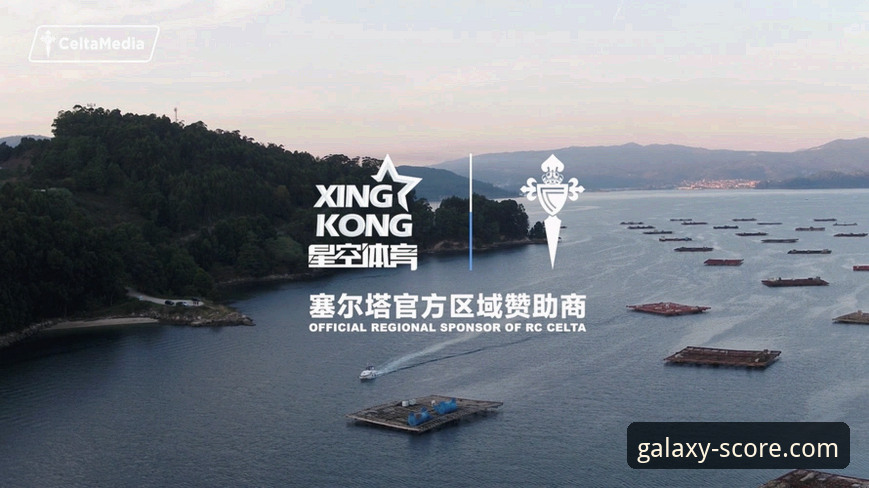星空体育平台赛事直播功能详解：从入门到精通